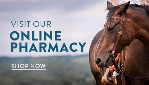 Visit Our Online Pharmacy. Click to Shop Now. 