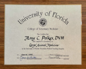 University of Florida Diploma Dr. Amy Polkes