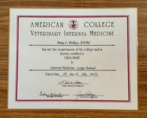 American College Veterinary Internal Medicine Specialist Diploma Dr. Amy Polkes